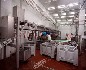 俄羅斯38250平方米現(xiàn)代化肉類加工廠轉(zhuǎn)讓，融合網(wǎng)絡(luò)技術(shù)開發(fā)新機(jī)遇